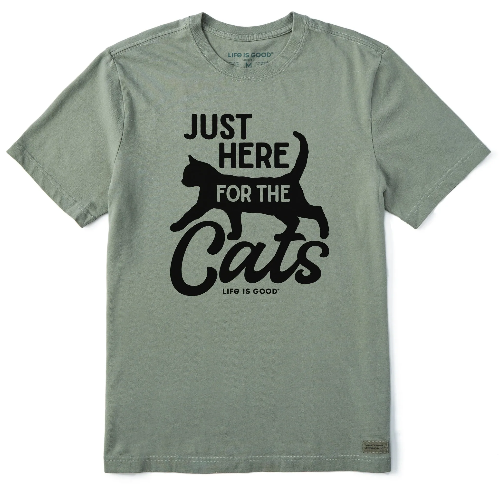 outdoor concert Light Flex Men's Here for the Cats Short Sleeve Tee