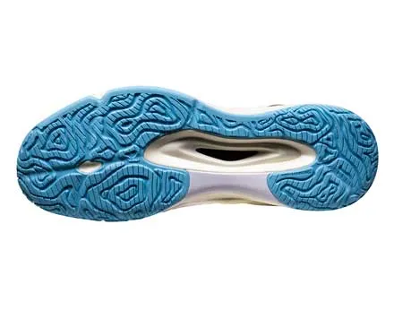 Reinforced toe box Distinctive materials Li Ning Badminton Shoe Men's [White] AYAP009-WJ