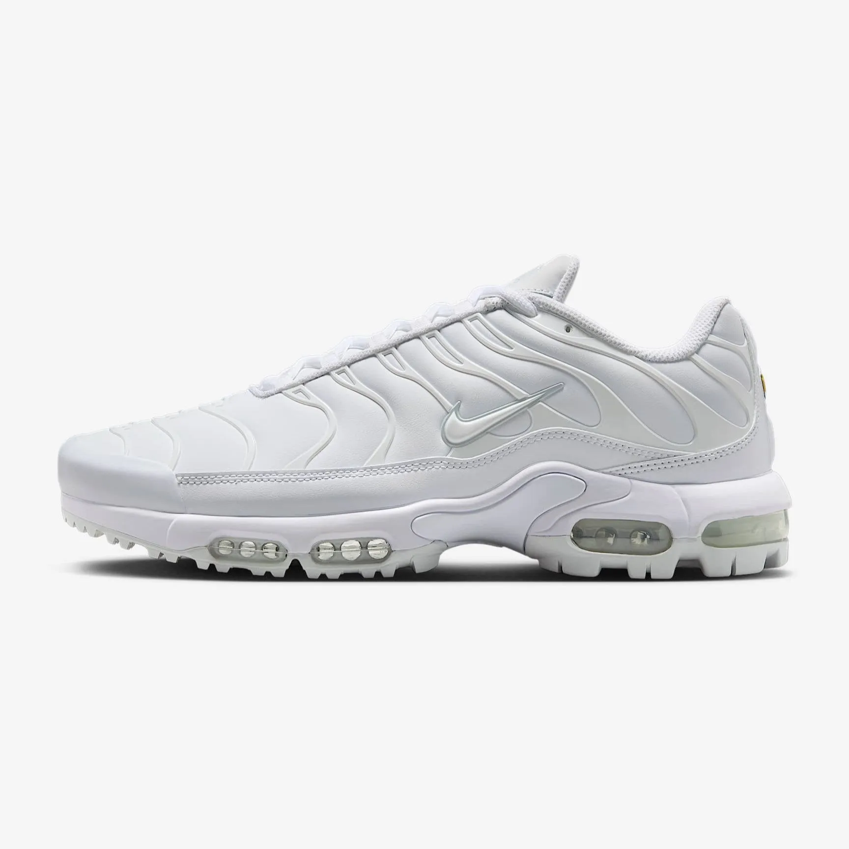 Perfect Balance Nike Air Max Plus G