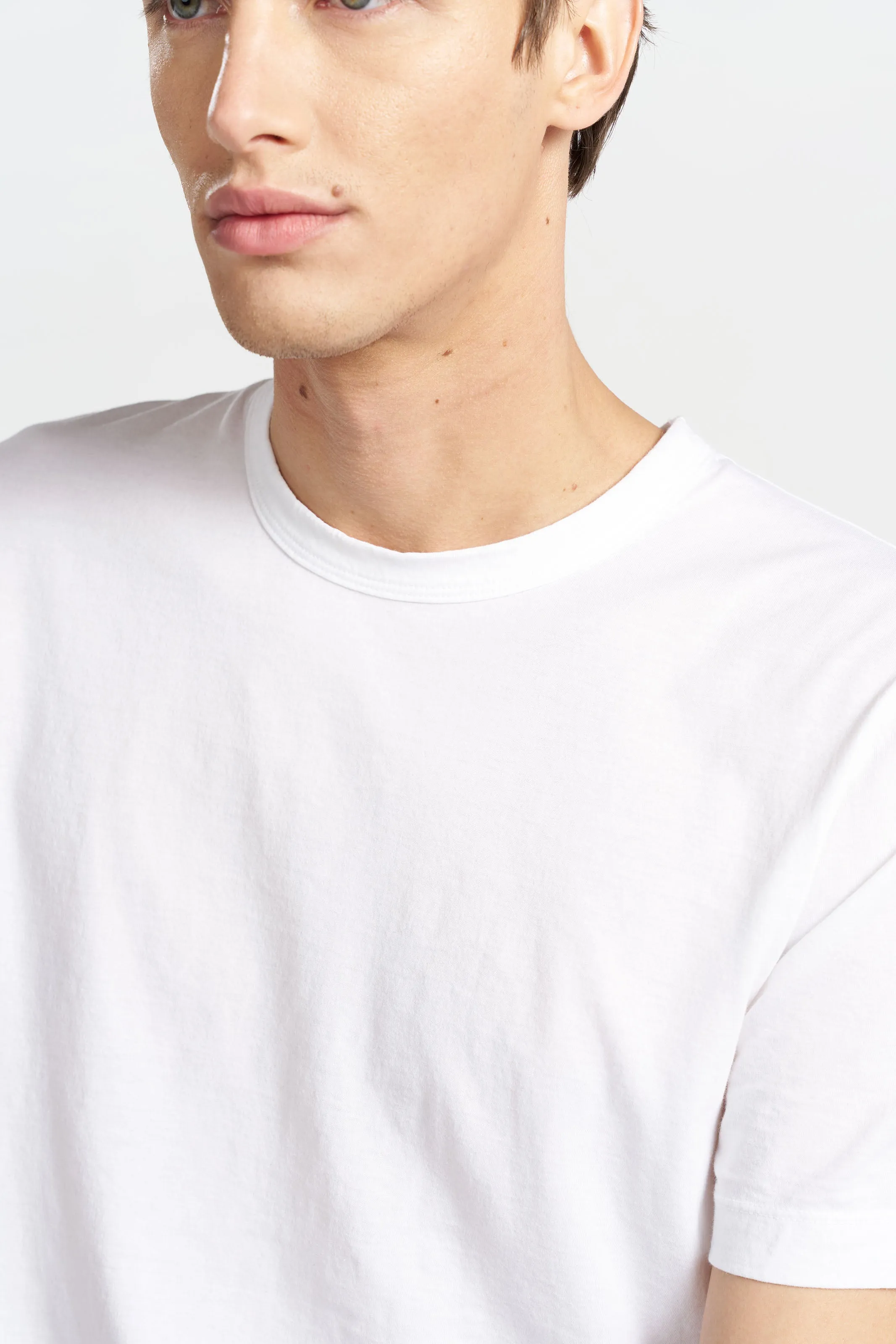 Classic Crewneck Tee EcoFriendlyDyes Sleek Layers